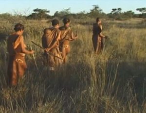 Pustinja Kalahari